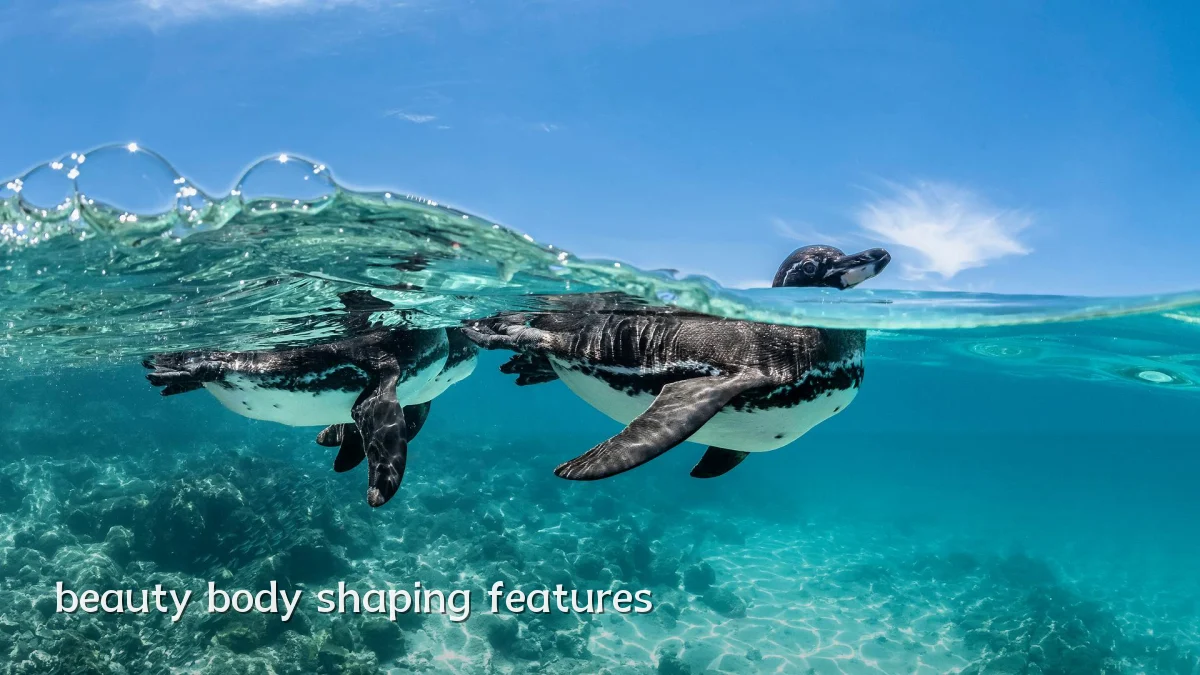 beauty body shaping features
