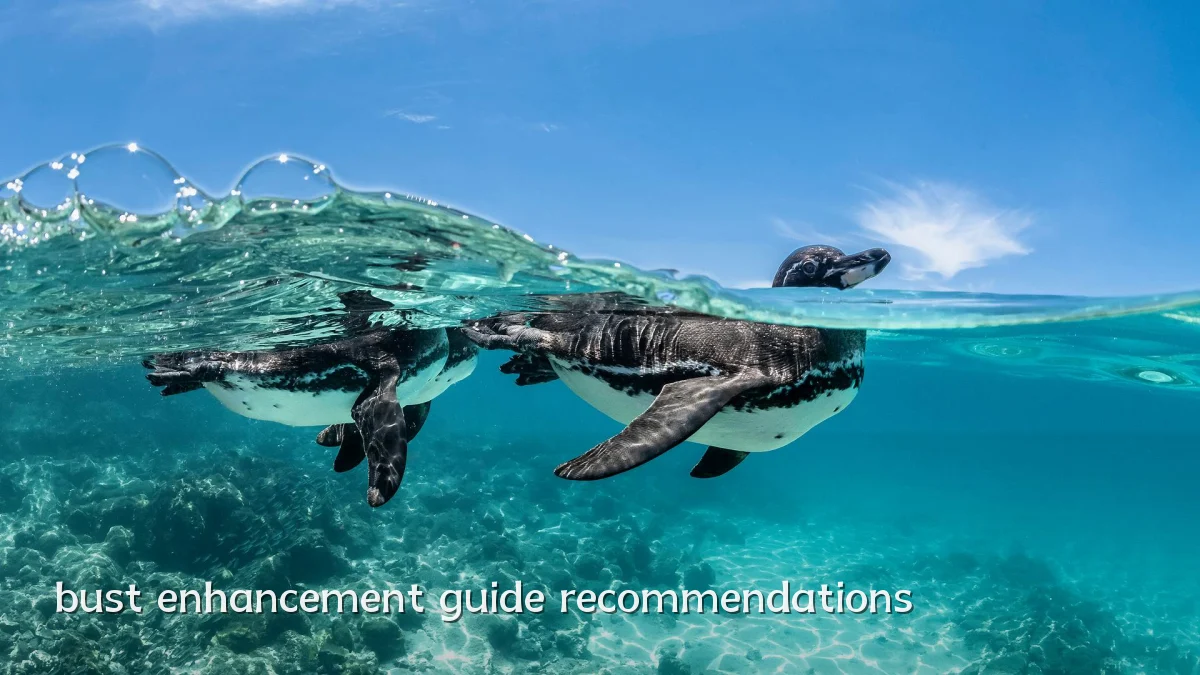 bust enhancement guide recommendations