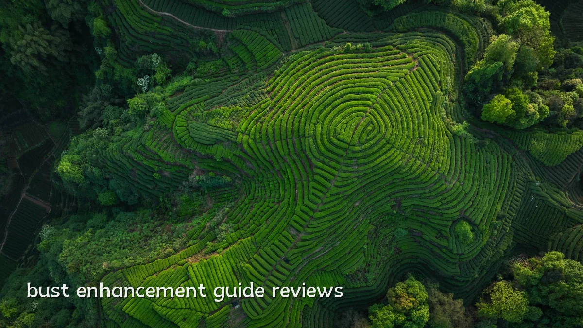 bust enhancement guide reviews