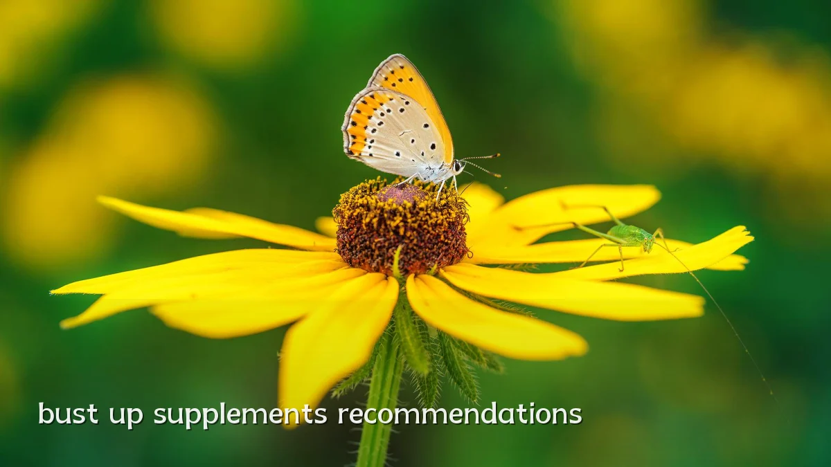 bust up supplements recommendations