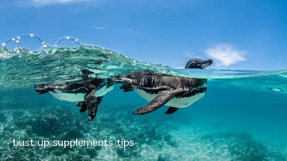 bust up supplements tips