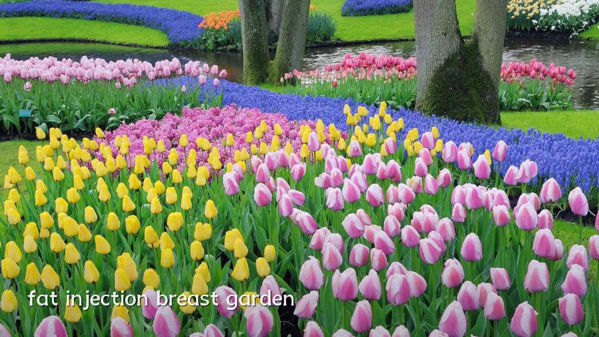 fat injection breast garden