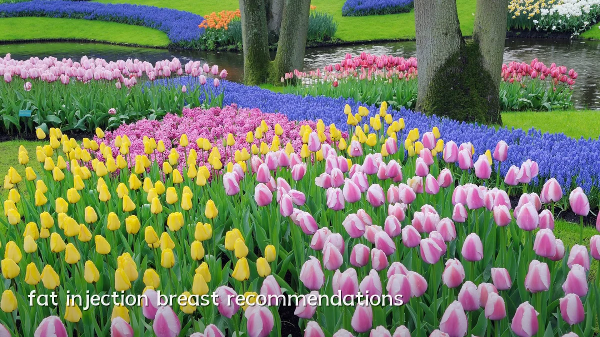 fat injection breast recommendations