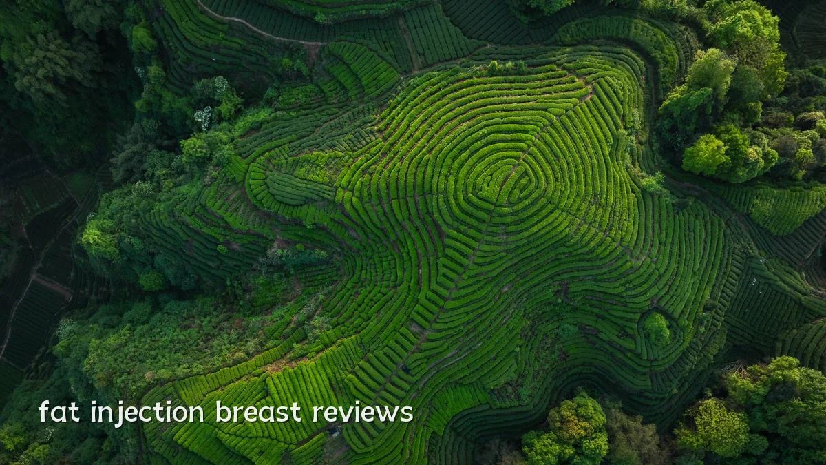 fat injection breast reviews