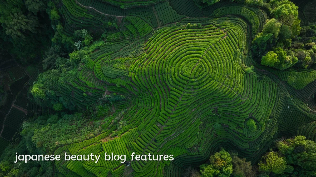 japanese beauty blog features