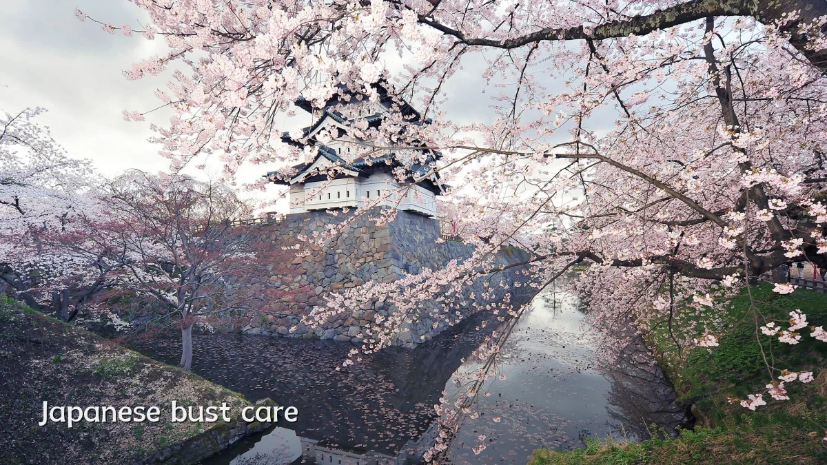Japanese bust care