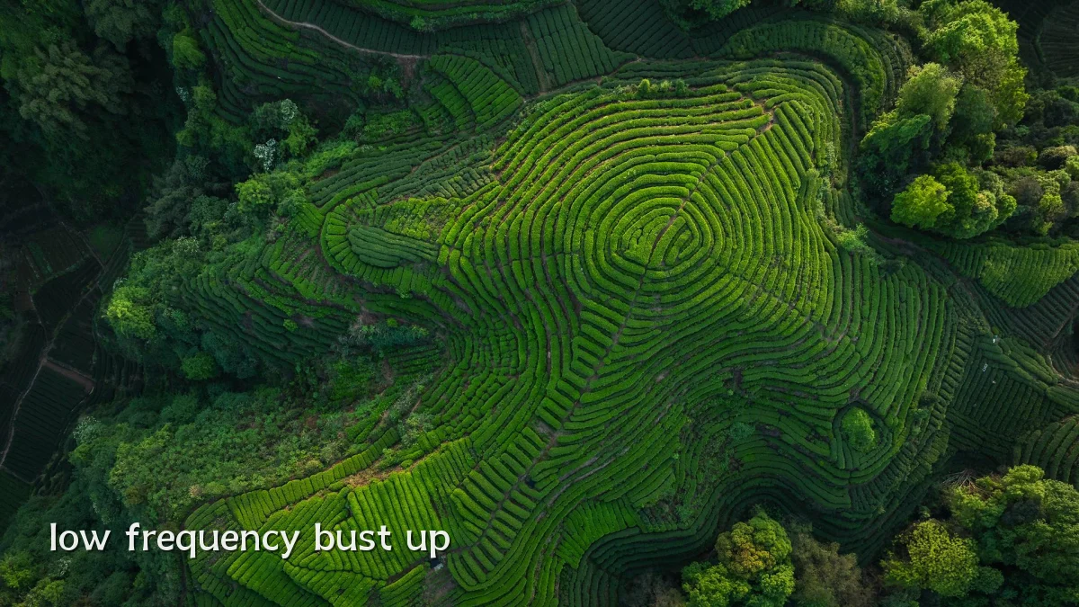 low frequency bust up