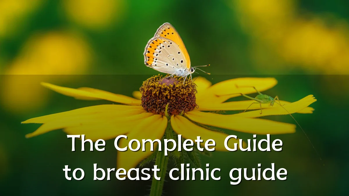 The Complete Guide to breast clinic guide