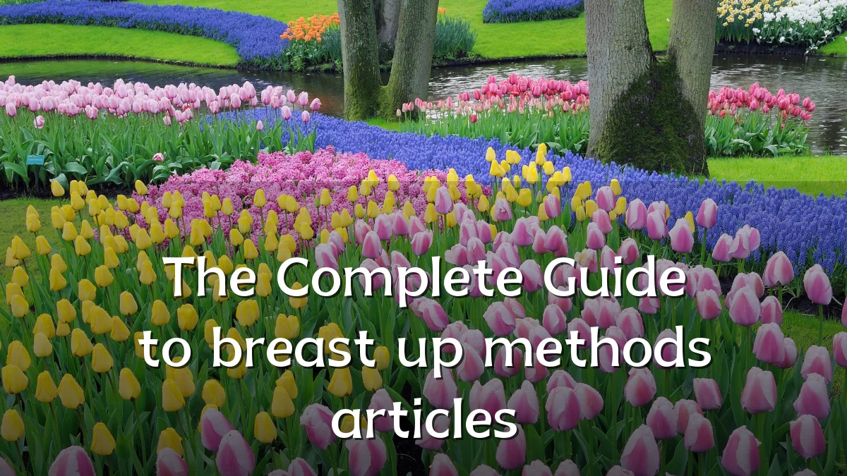 The Complete Guide to breast up methods articles