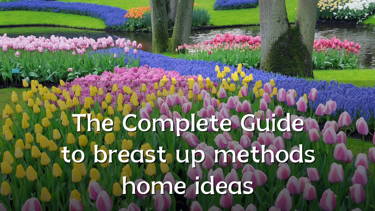 The Complete Guide to breast up methods home ideas