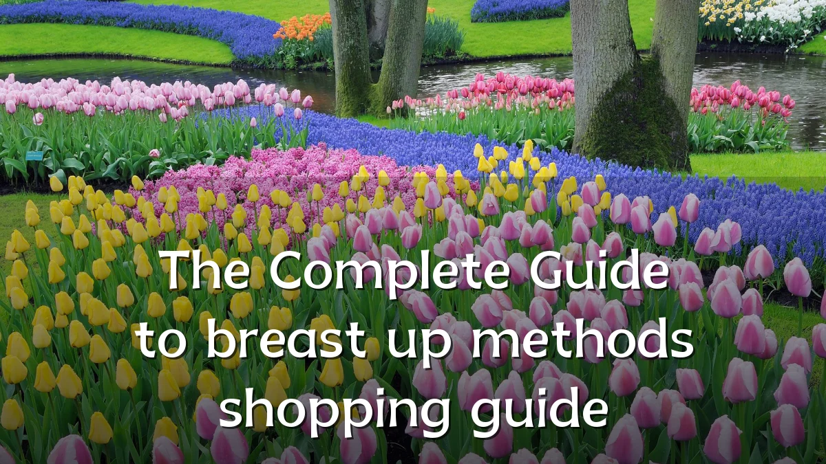 The Complete Guide to breast up methods shopping guide