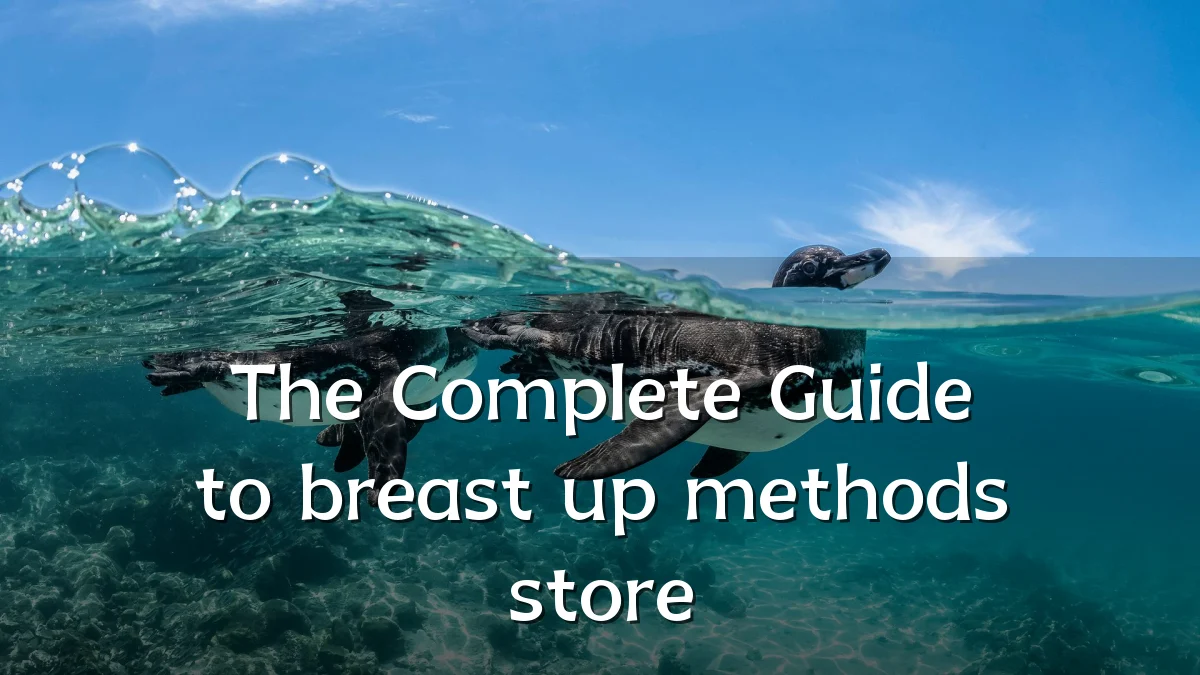 The Complete Guide to breast up methods store