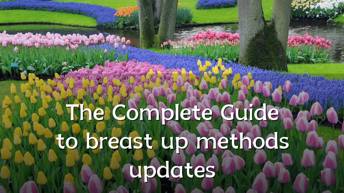The Complete Guide to breast up methods updates