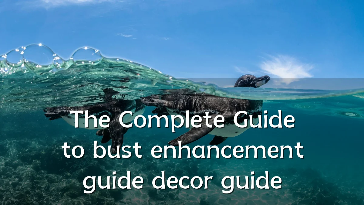 The Complete Guide to bust enhancement guide decor guide
