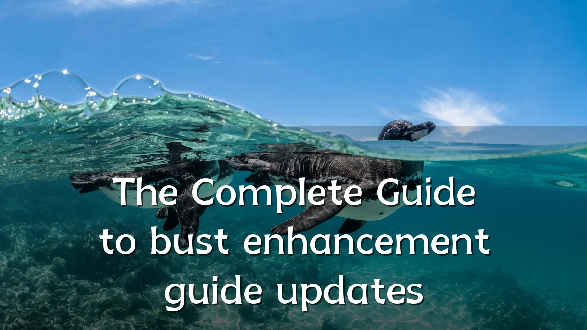 The Complete Guide to bust enhancement guide updates