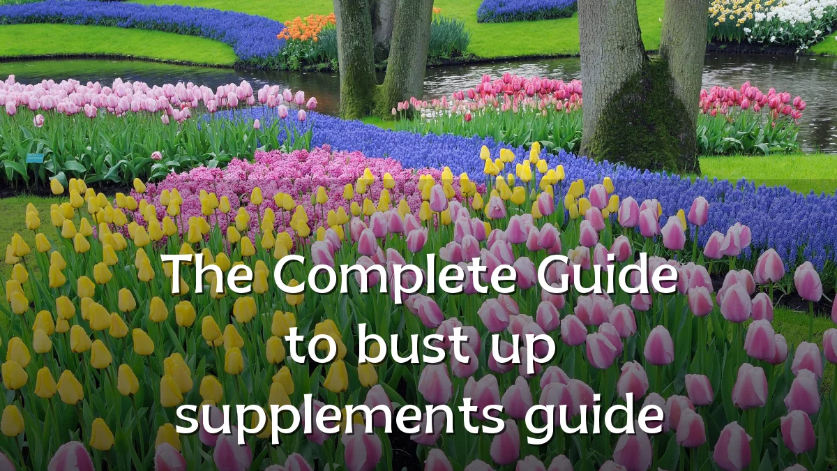The Complete Guide to bust up supplements guide
