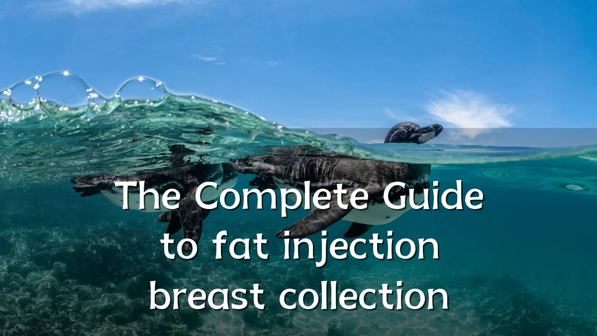 The Complete Guide to fat injection breast collection
