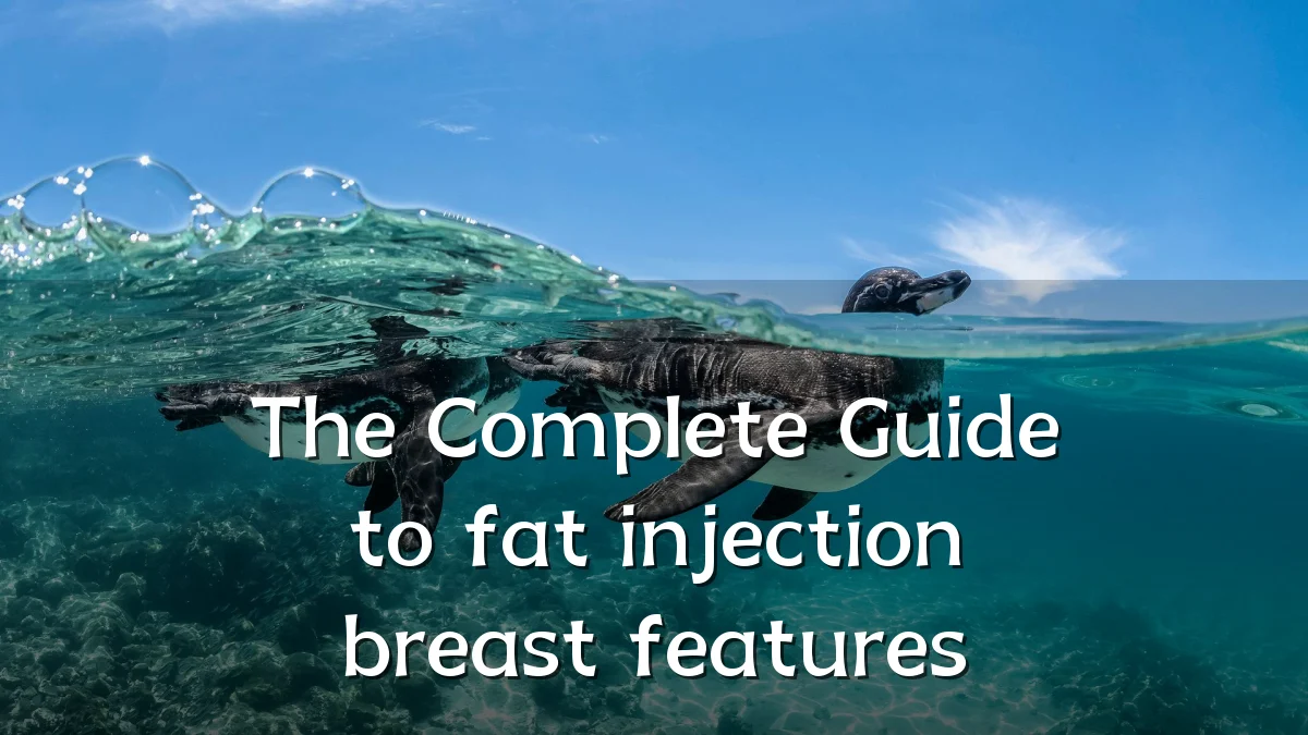The Complete Guide to fat injection breast features