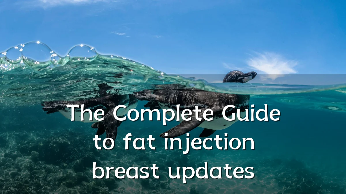 The Complete Guide to fat injection breast updates