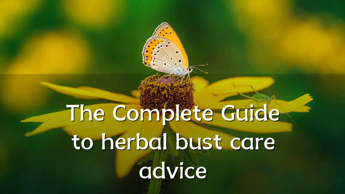 The Complete Guide to herbal bust care advice