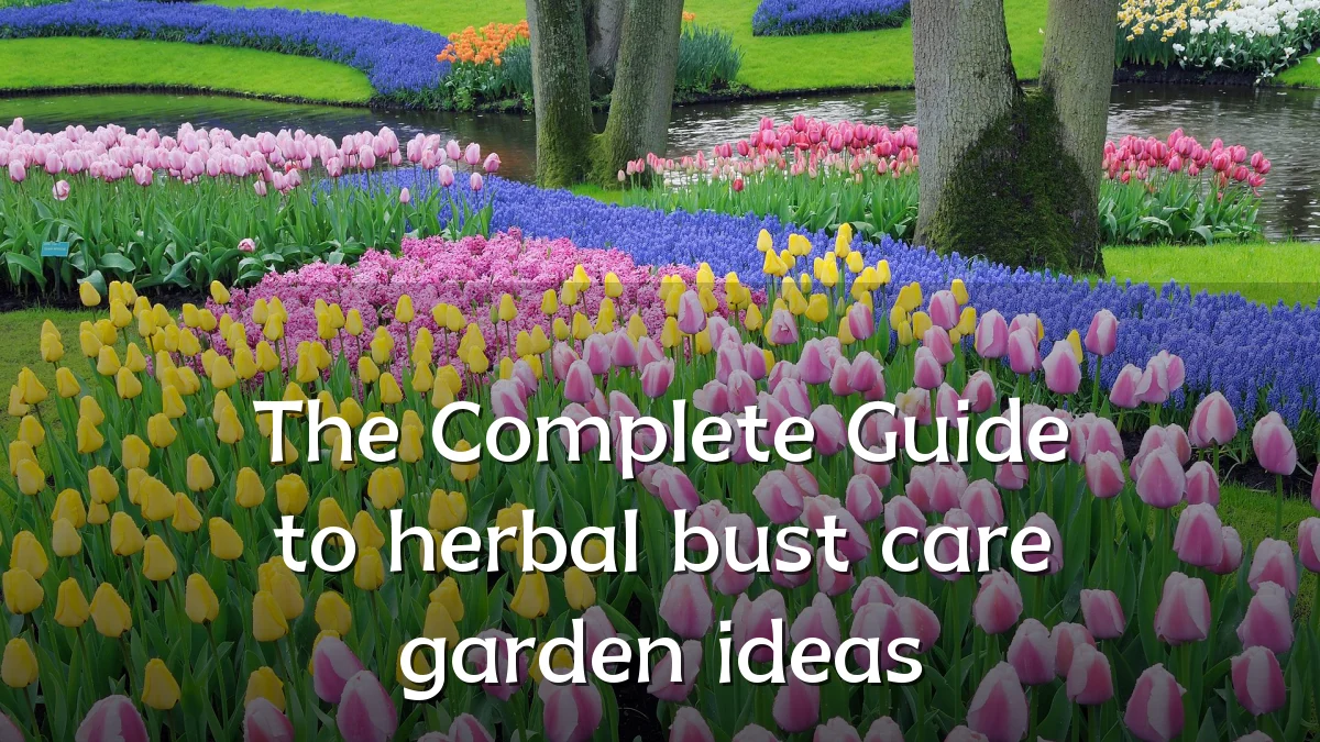 The Complete Guide to herbal bust care garden ideas
