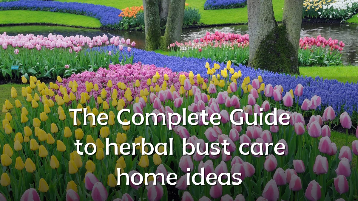 The Complete Guide to herbal bust care home ideas