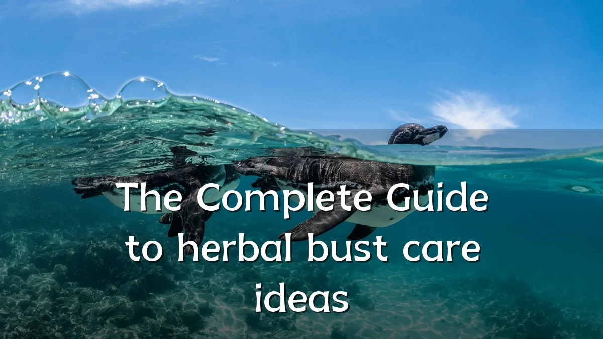 The Complete Guide to herbal bust care ideas