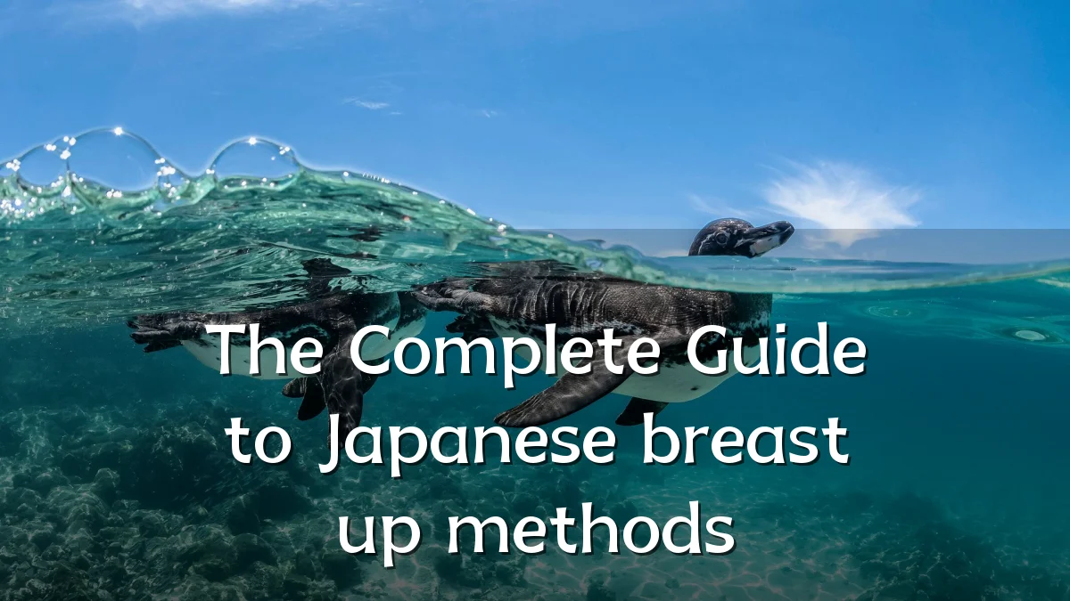 The Complete Guide to Japanese breast up methods