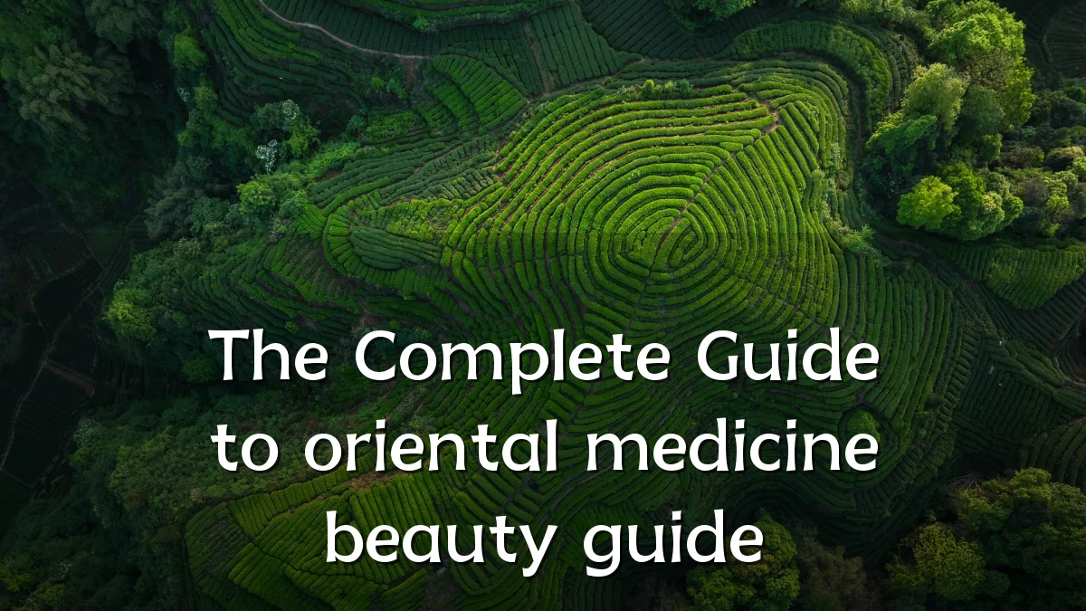 The Complete Guide to oriental medicine beauty guide