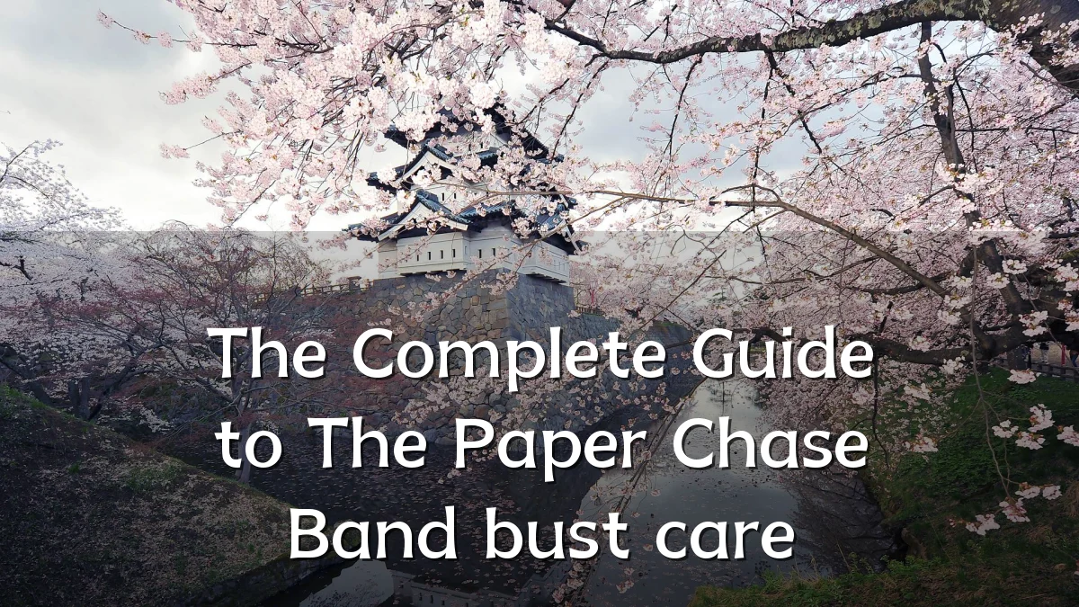 The Complete Guide to The Paper Chase Band bust care