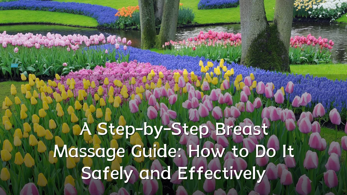 A Step-by-Step Breast Massage Guide: How to Do It Safely and Effectively