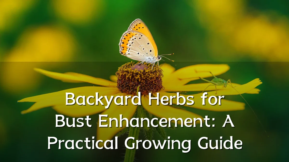 Backyard Herbs for Bust Enhancement: A Practical Growing Guide