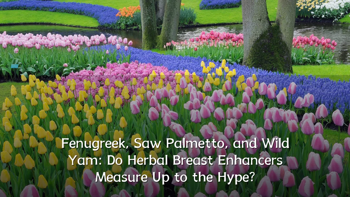 Fenugreek, Saw Palmetto, and Wild Yam: Do Herbal Breast Enhancers Measure Up to the Hype?