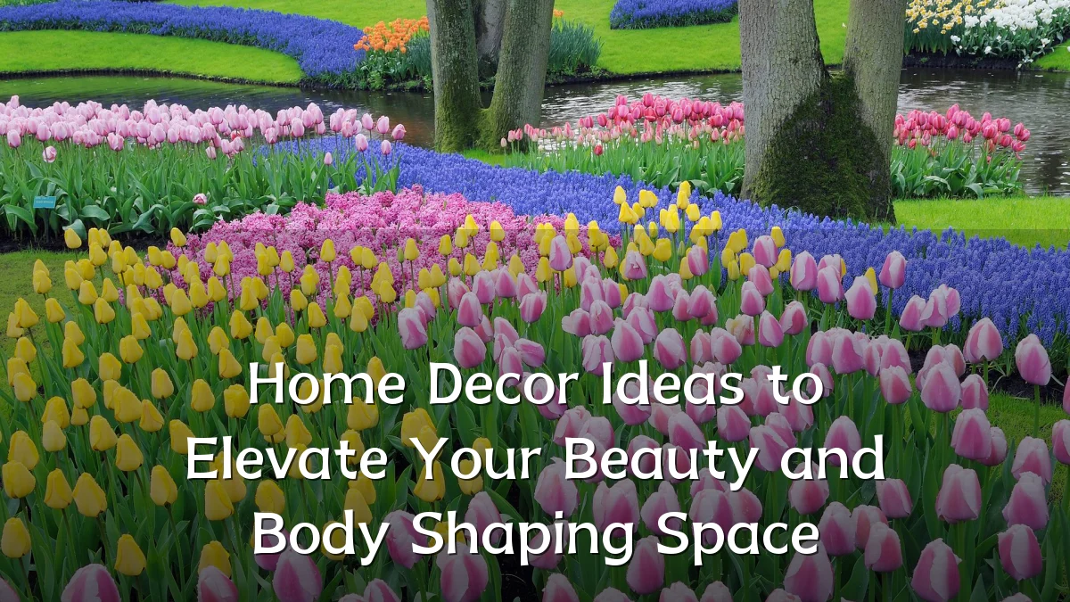 Home Decor Ideas to Elevate Your Beauty and Body Shaping Space