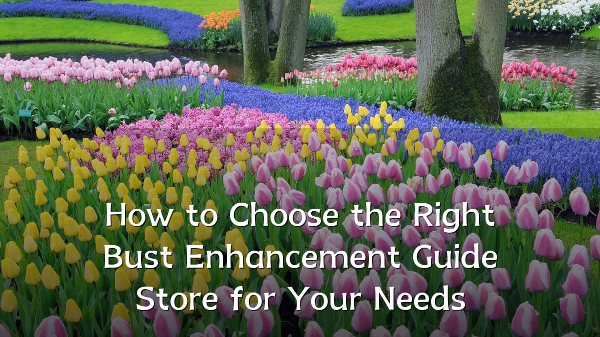 How to Choose the Right Bust Enhancement Guide Store for Your Needs