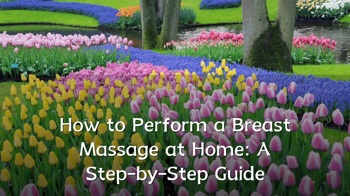 How to Perform a Breast Massage at Home: A Step-by-Step Guide