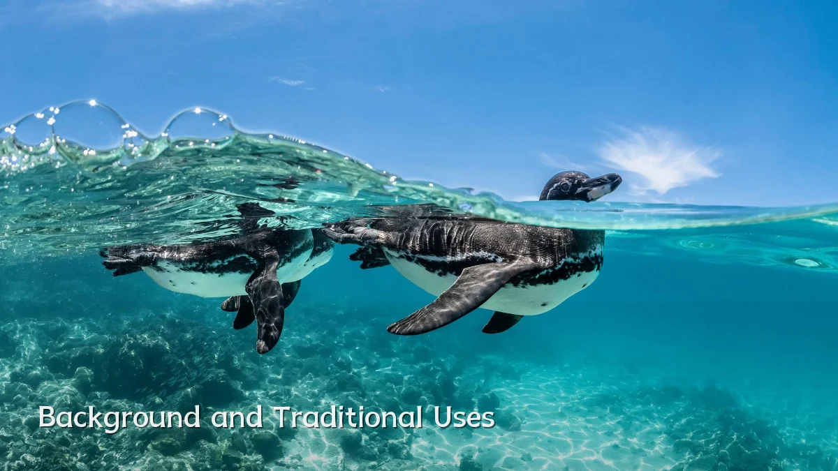 Background and Traditional Uses