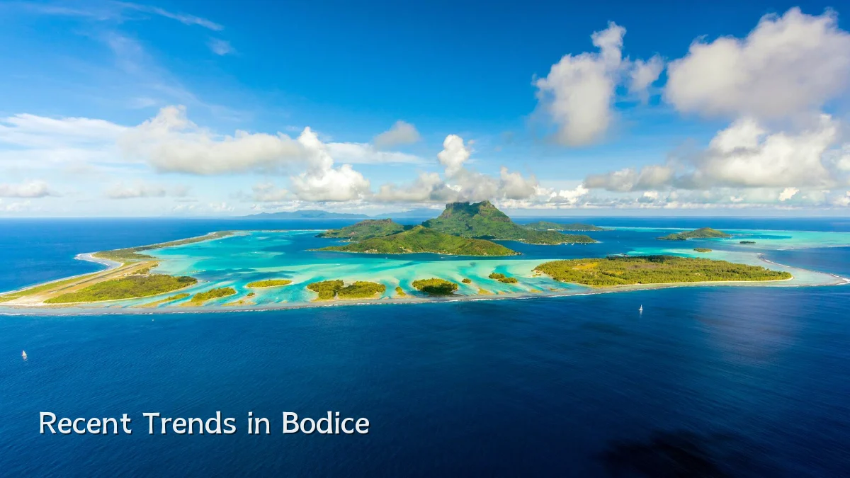 Recent Trends in Bodice