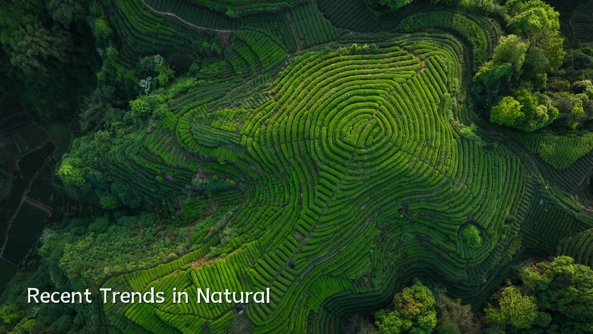 Recent Trends in Natural