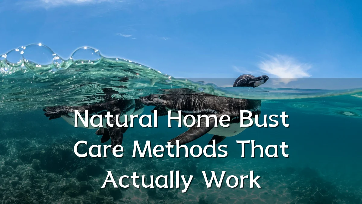 Natural Home Bust Care Methods That Actually Work