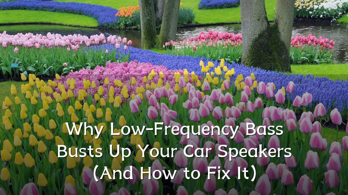 Why Low-Frequency Bass Busts Up Your Car Speakers (And How to Fix It)