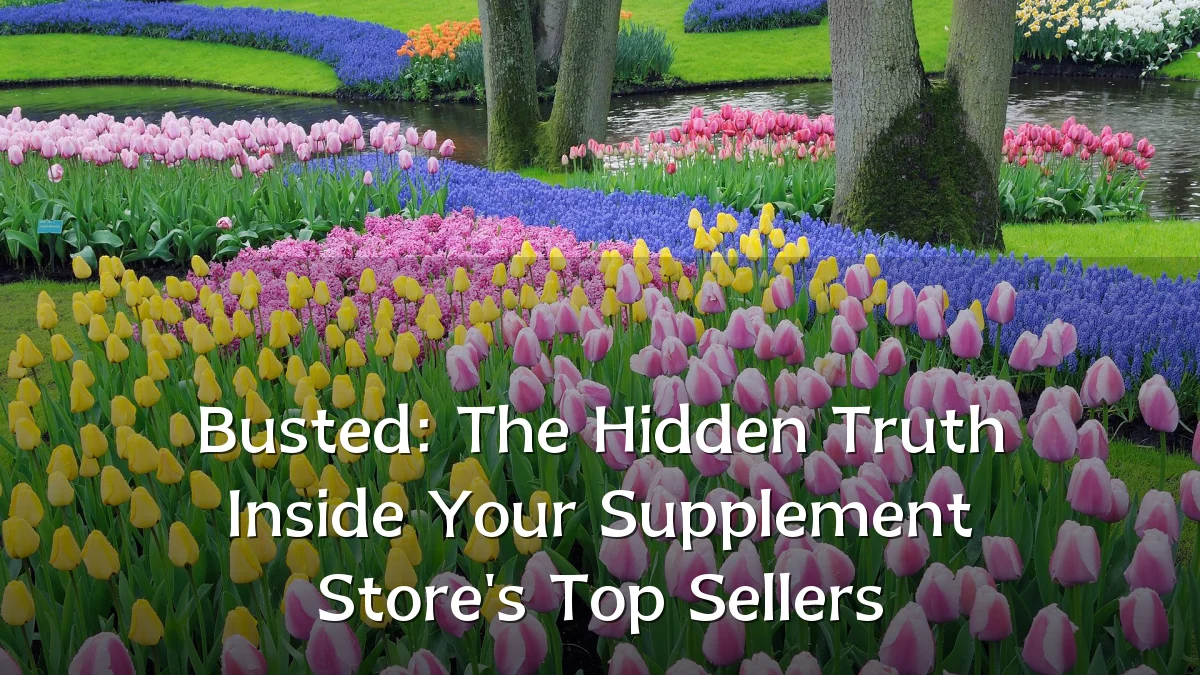 Busted: The Hidden Truth Inside Your Supplement Store's Top Sellers