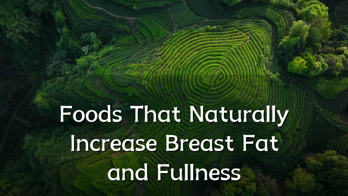 Foods That Naturally Increase Breast Fat and Fullness