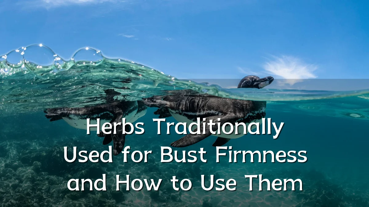 Herbs Traditionally Used for Bust Firmness and How to Use Them