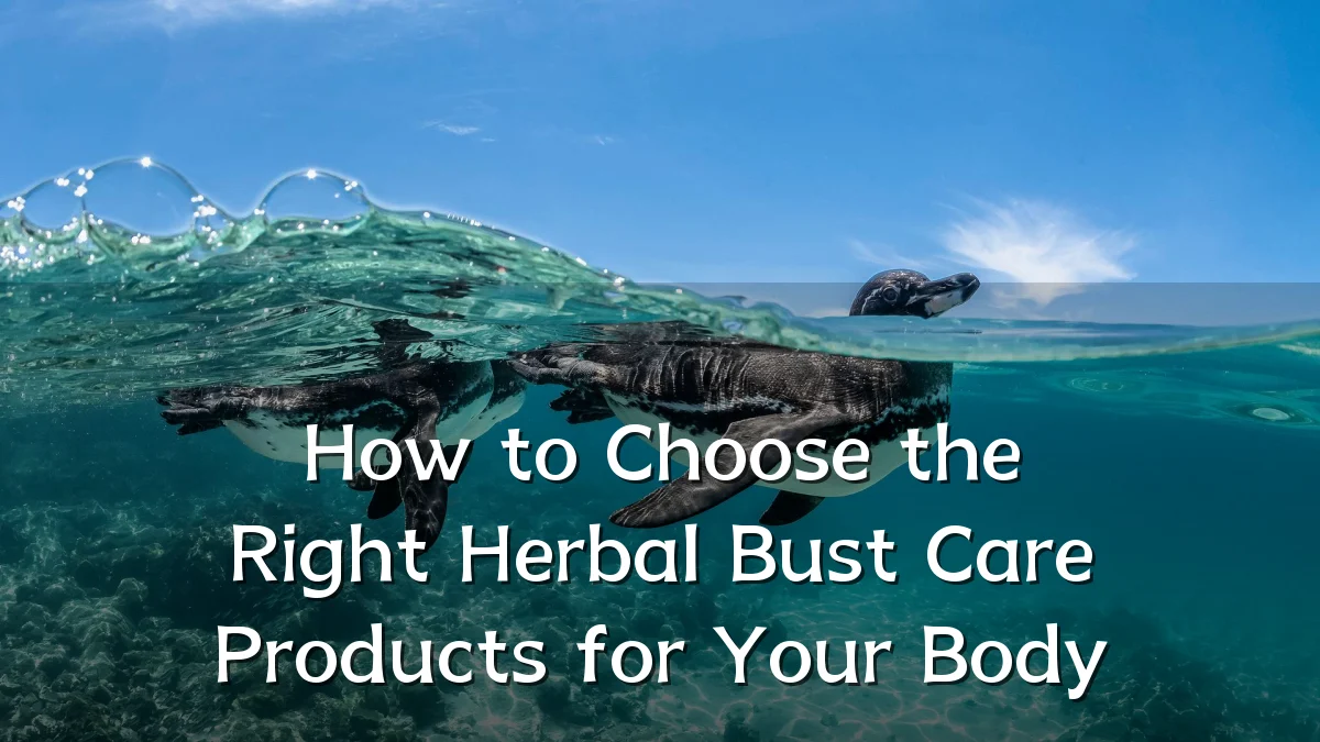 How to Choose the Right Herbal Bust Care Products for Your Body