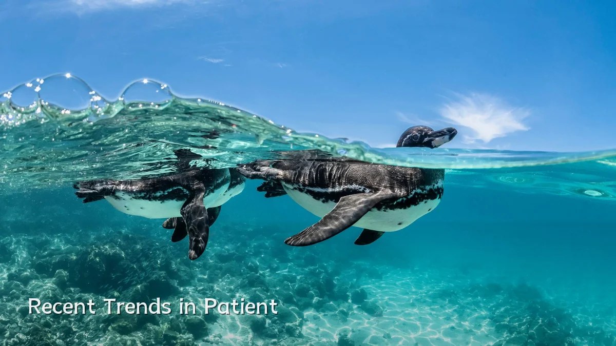 Recent Trends in Patient