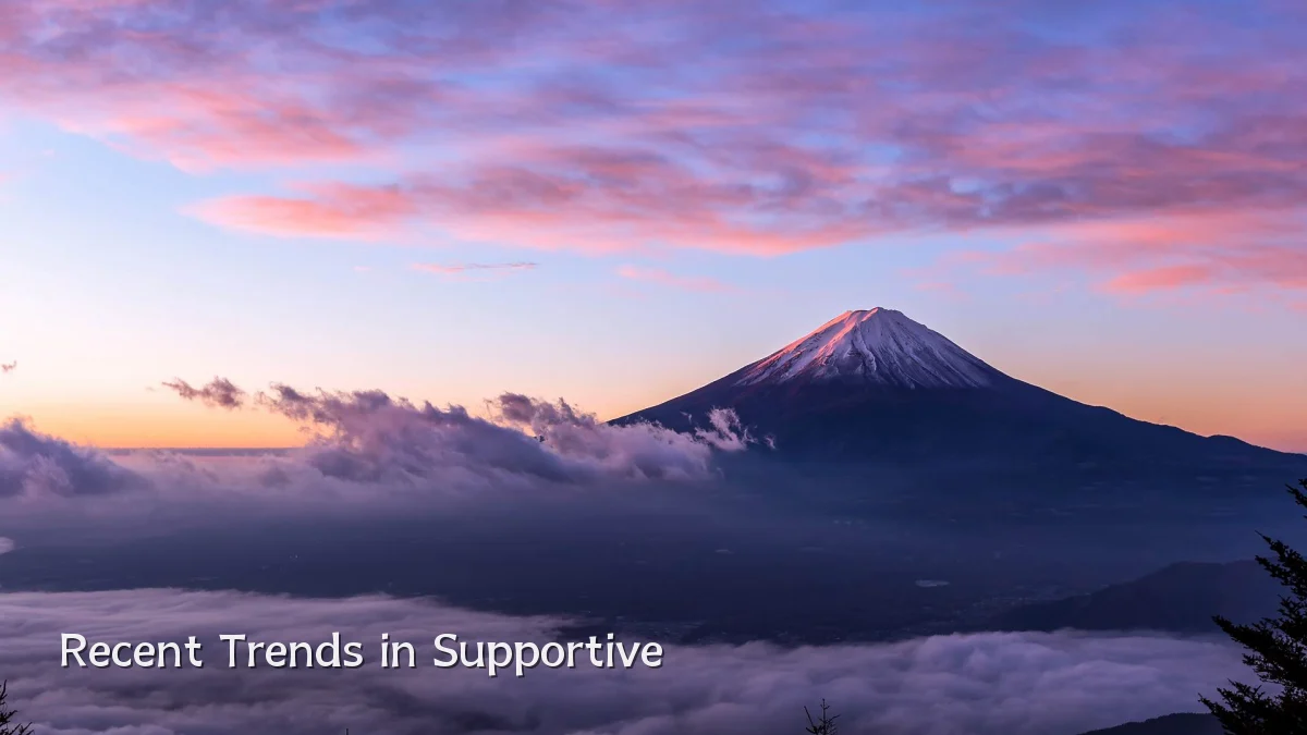 Recent Trends in Supportive