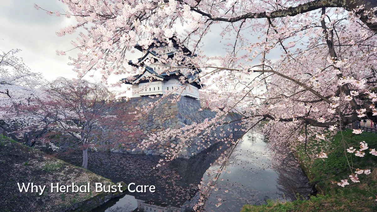 Why Herbal Bust Care