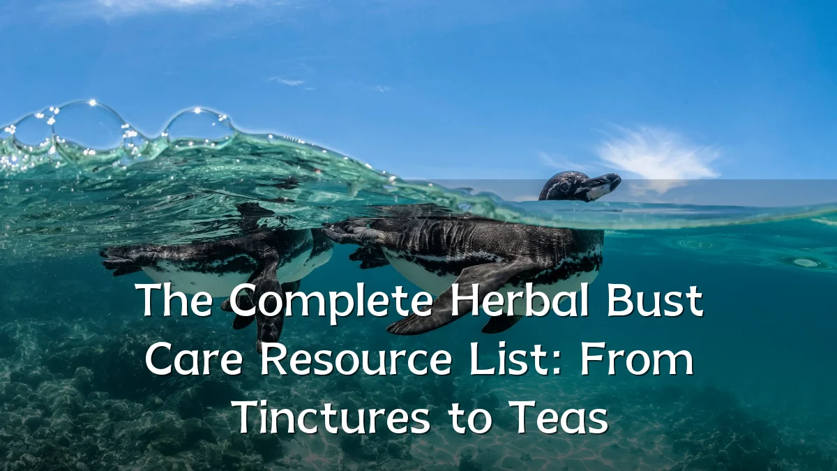 The Complete Herbal Bust Care Resource List: From Tinctures to Teas
