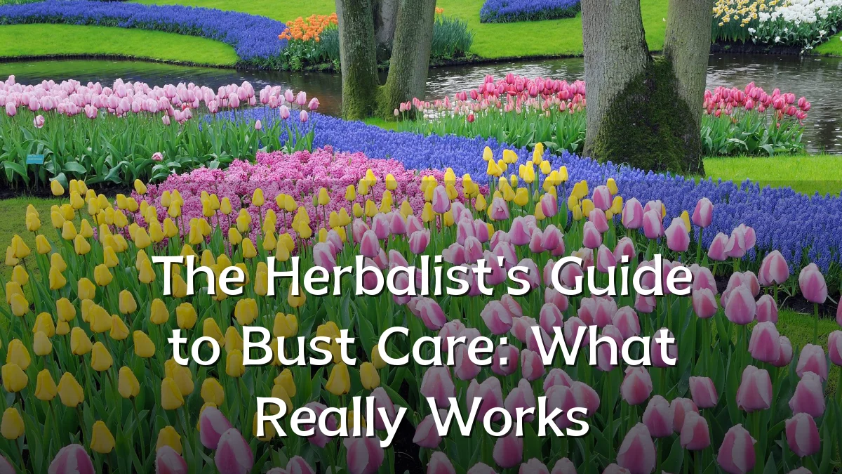 The Herbalist's Guide to Bust Care: What Really Works